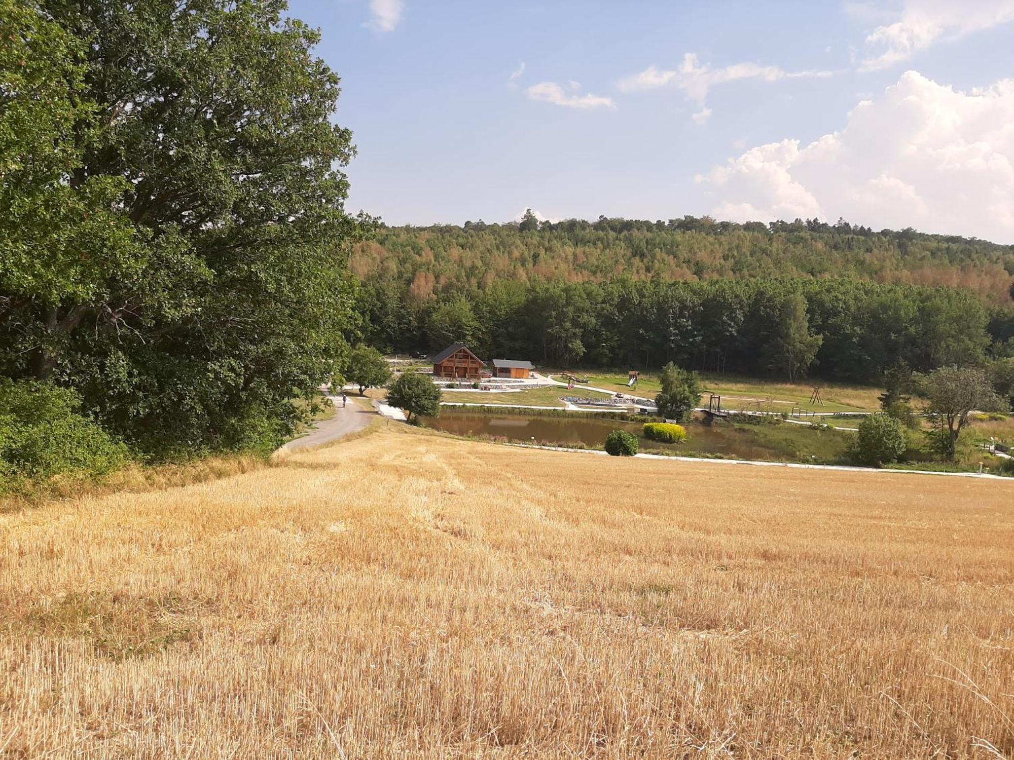 Residenz Moselstausee Sankt Aldegund Εξωτερικό φωτογραφία