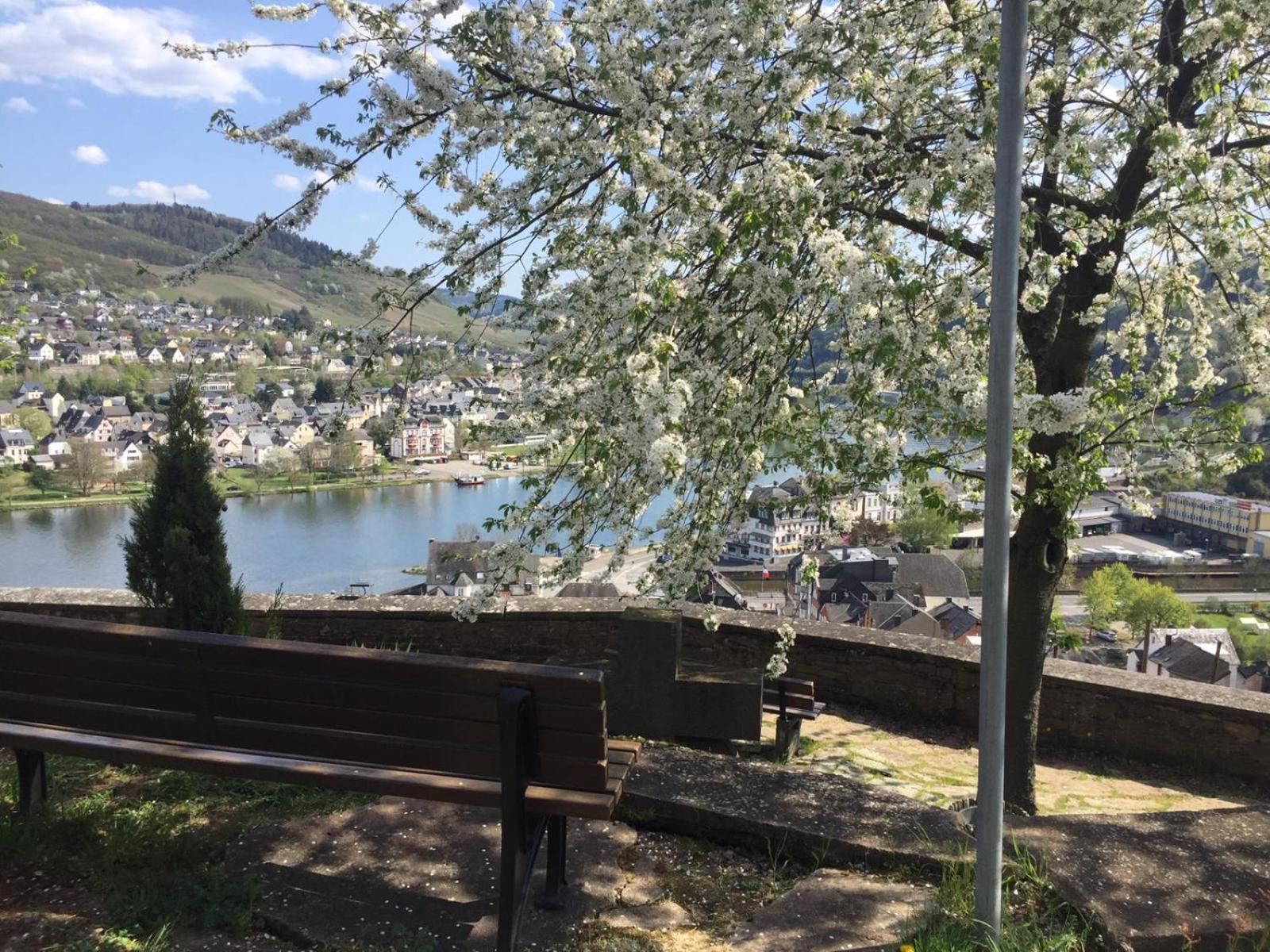 Residenz Moselstausee Sankt Aldegund Εξωτερικό φωτογραφία