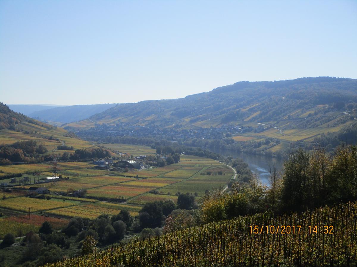 Residenz Moselstausee Sankt Aldegund Εξωτερικό φωτογραφία