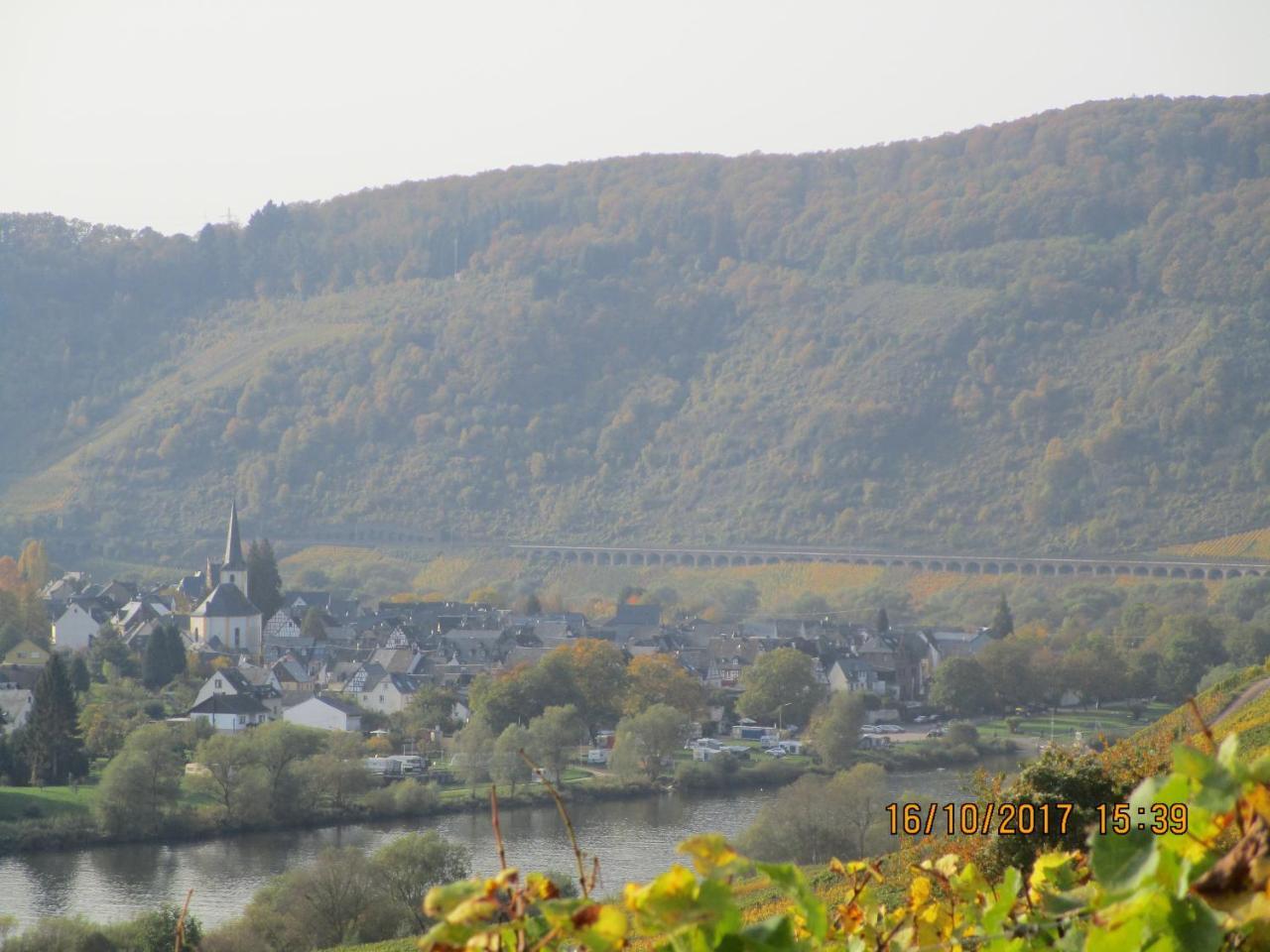 Residenz Moselstausee Sankt Aldegund Εξωτερικό φωτογραφία
